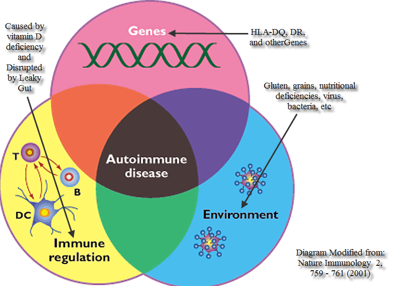 AUTOIMMUNE DISEASE diagram