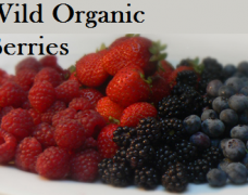 Wild Organic Berries - Gluten Free