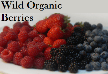 Wild Organic Berries - Gluten Free