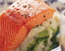 salmon