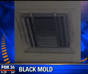 Black-mold-mimics-gluten