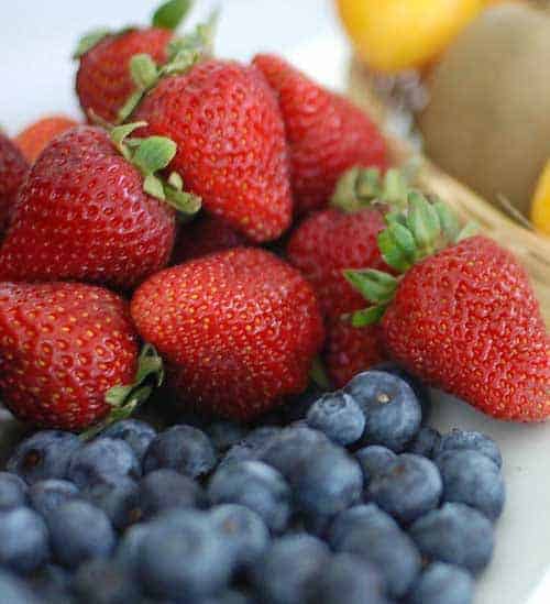 Wild Organic Berries Gluten Free Society