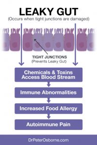 How to heal a leaky gut