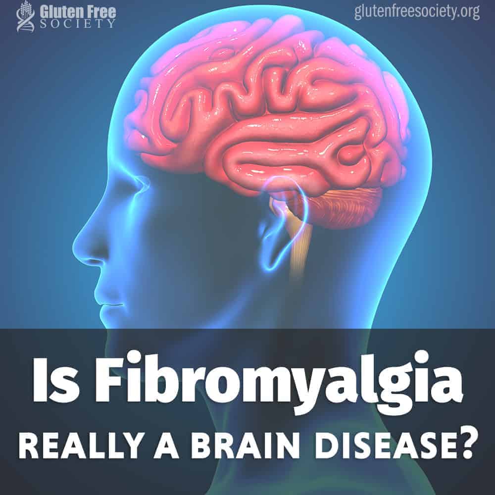 Causes of Fibromyalgia Dr Osborne