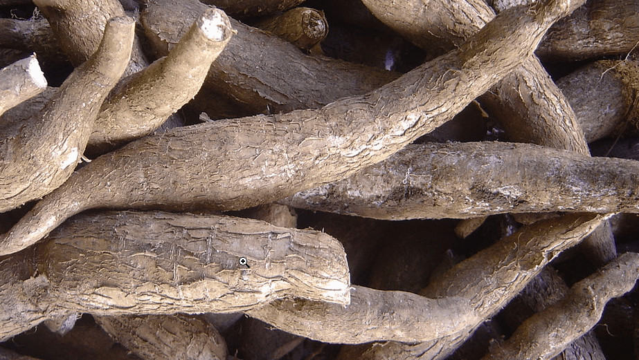 grain free - cassava root makes tapioca flour