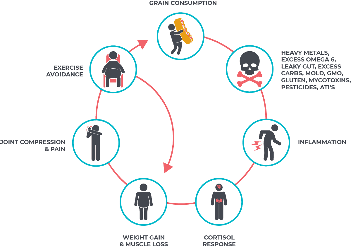 How to Burn Fat on a Gluten Free Diet - Gluten Free Society - And Fat And Gluten Replacement
