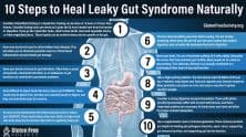 How To Heal Leaky Gut Syndrome - Gluten Free Society