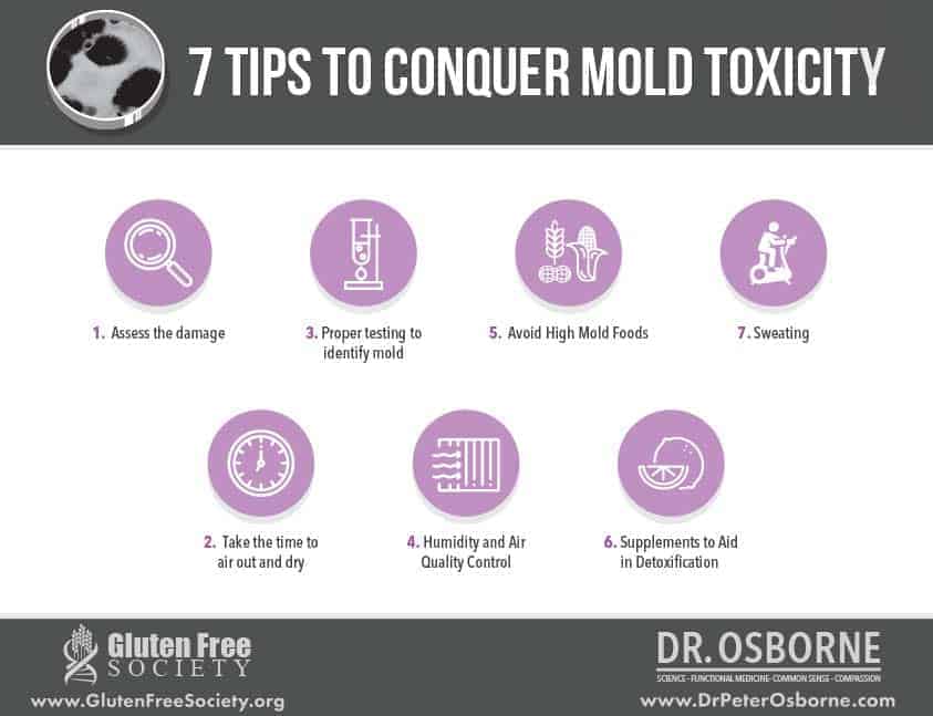 Avoiding mold toxicity