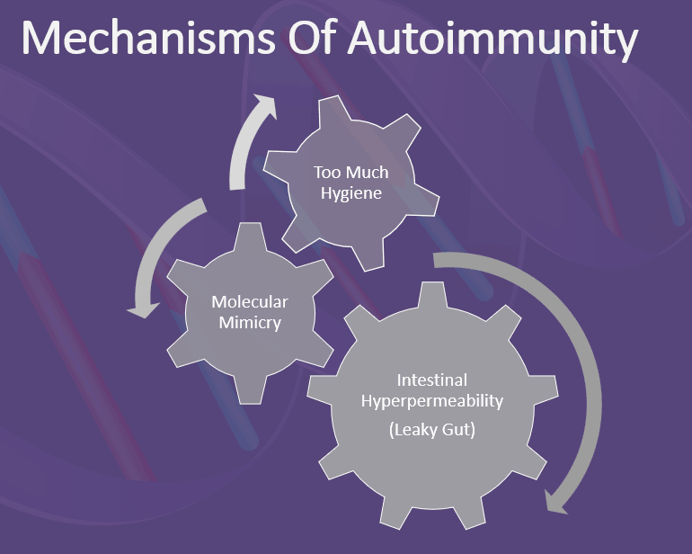 trigges of autoimmune disease