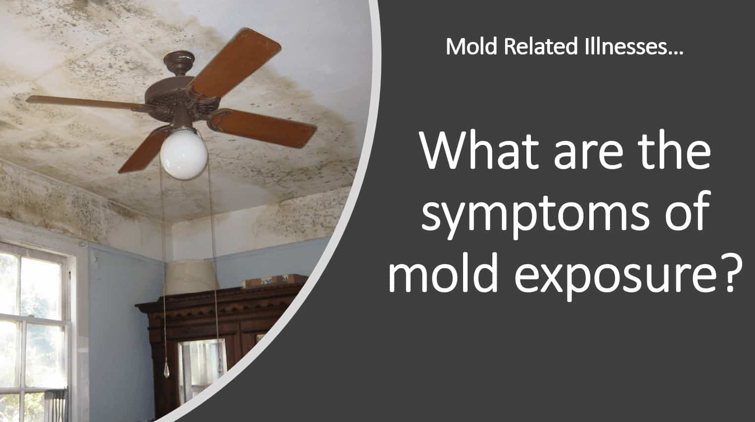 symptoms of toxic mold