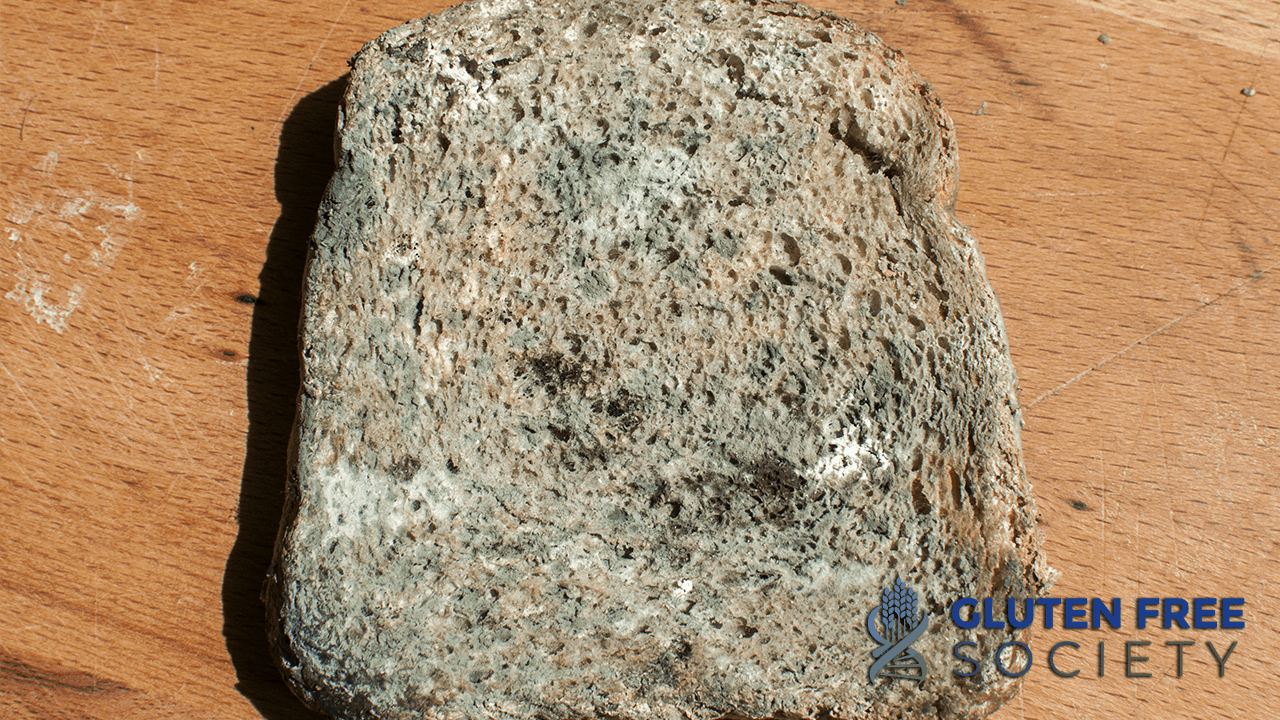Does Mold Cause Autoimmune Disease? Gluten Free Society