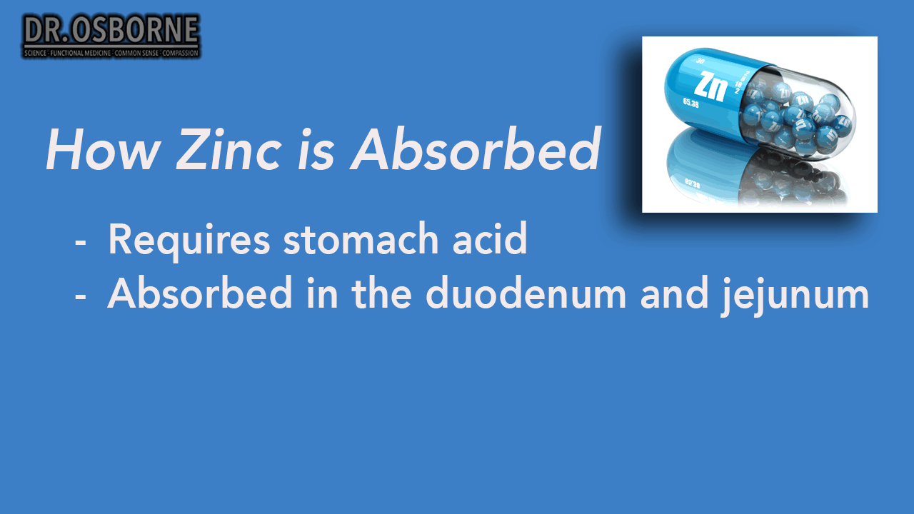 What Are The Functions of Zinc? Gluten Free Society
