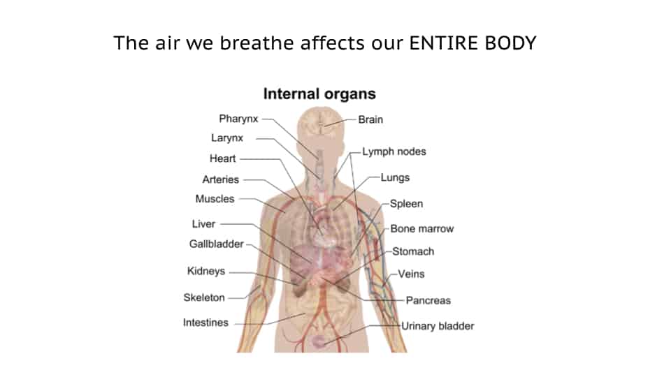 Toxic Air Pollution