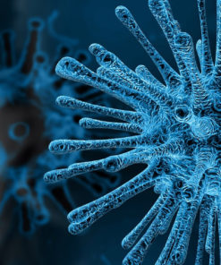 Coronavirus