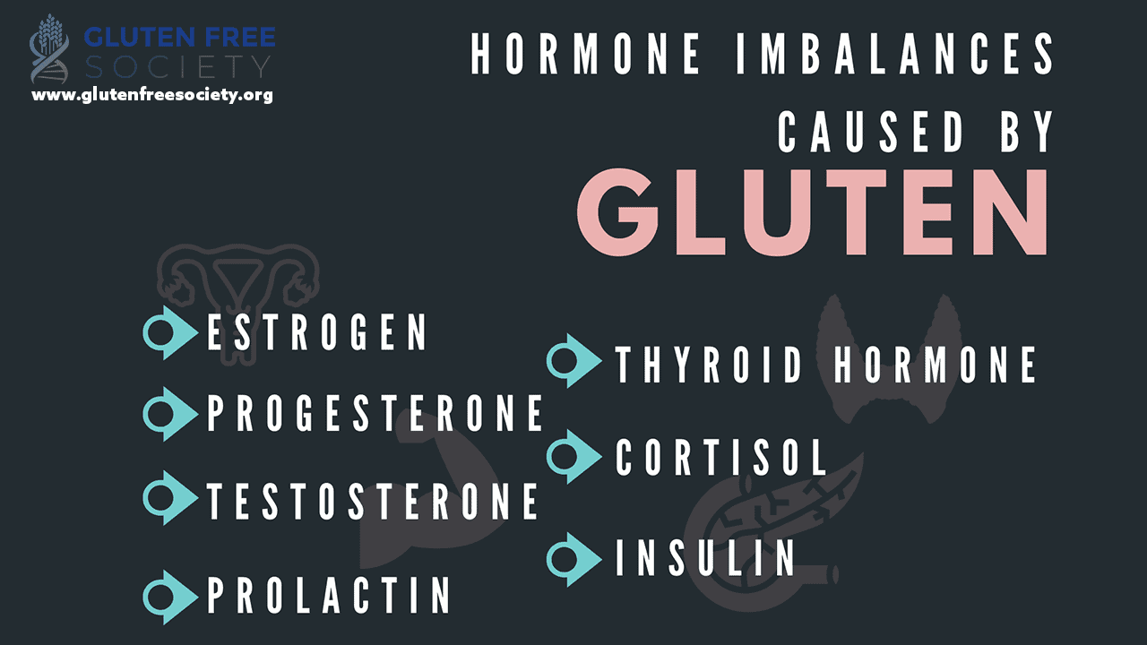 gluten causes hormone imbalance