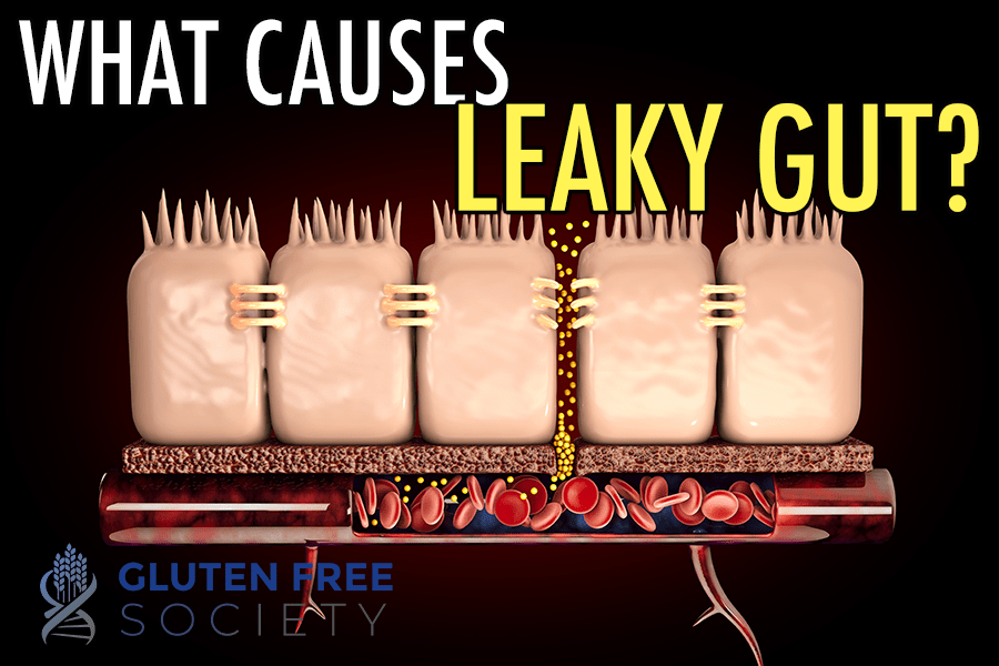 causes of leaky gut