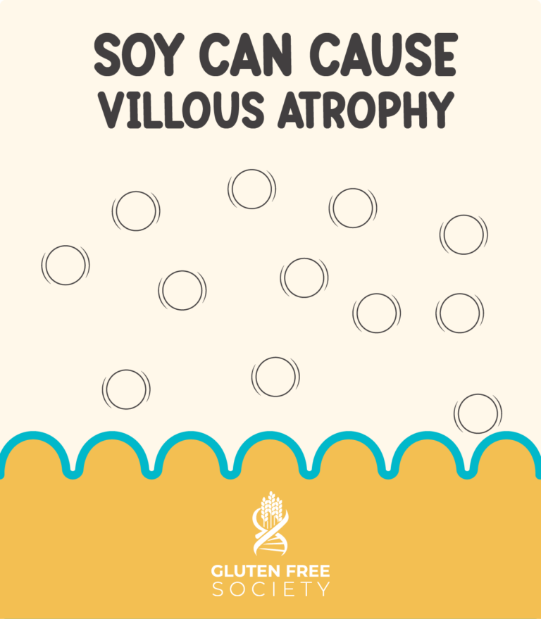 Is Soy Gluten Free? Gluten Free Society