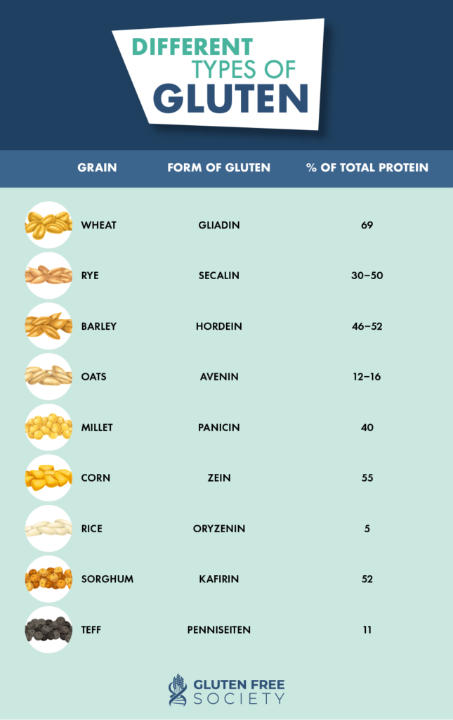 6 Things to Know about Going Gluten-Free - Gastrointestinal Society