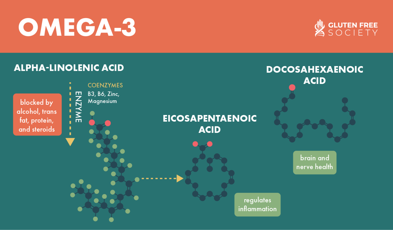 Omega Fats and Gluten Sensitivity GlutenFree Society
