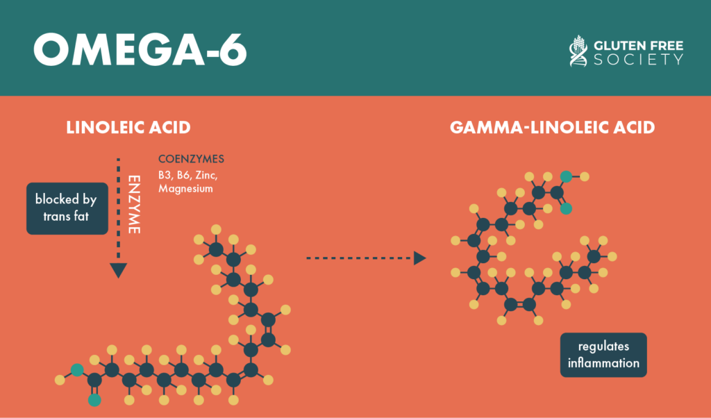 Omega Fats and Gluten Sensitivity GlutenFree Society