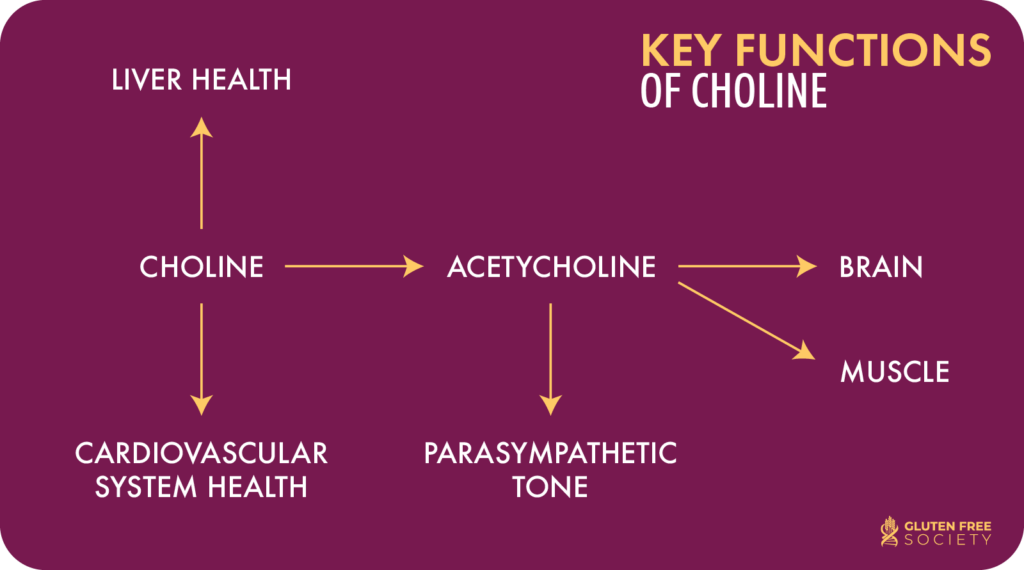 Choline Deficiency & Gluten GlutenFree Society