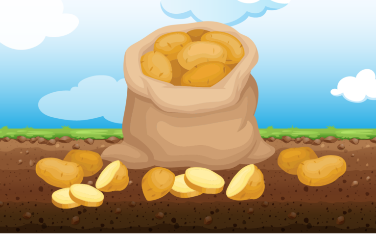 Do Potatoes Have Gluten? - Gluten Free Society