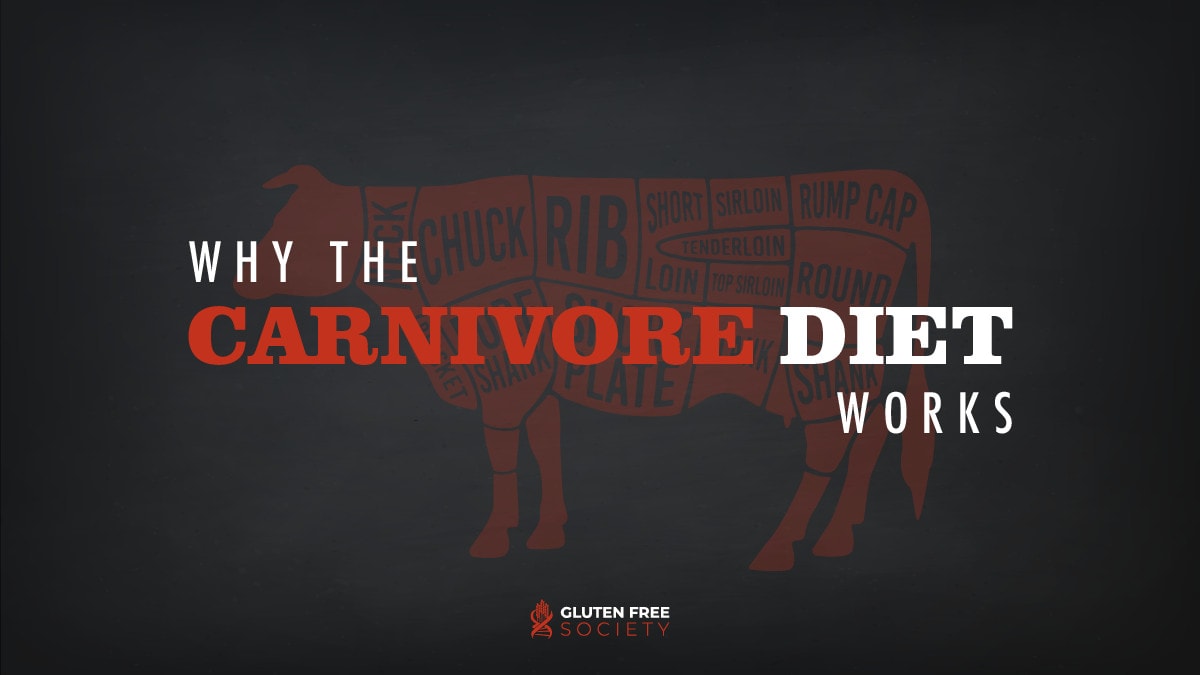 Carnivore Diet Benefits