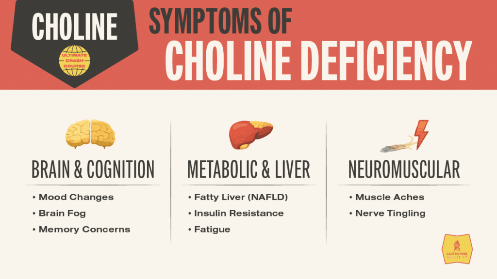 Symptoms of choline deficiency affecting brain function, liver health, and neuromuscular system, including mood changes, fatty liver, and muscle aches.