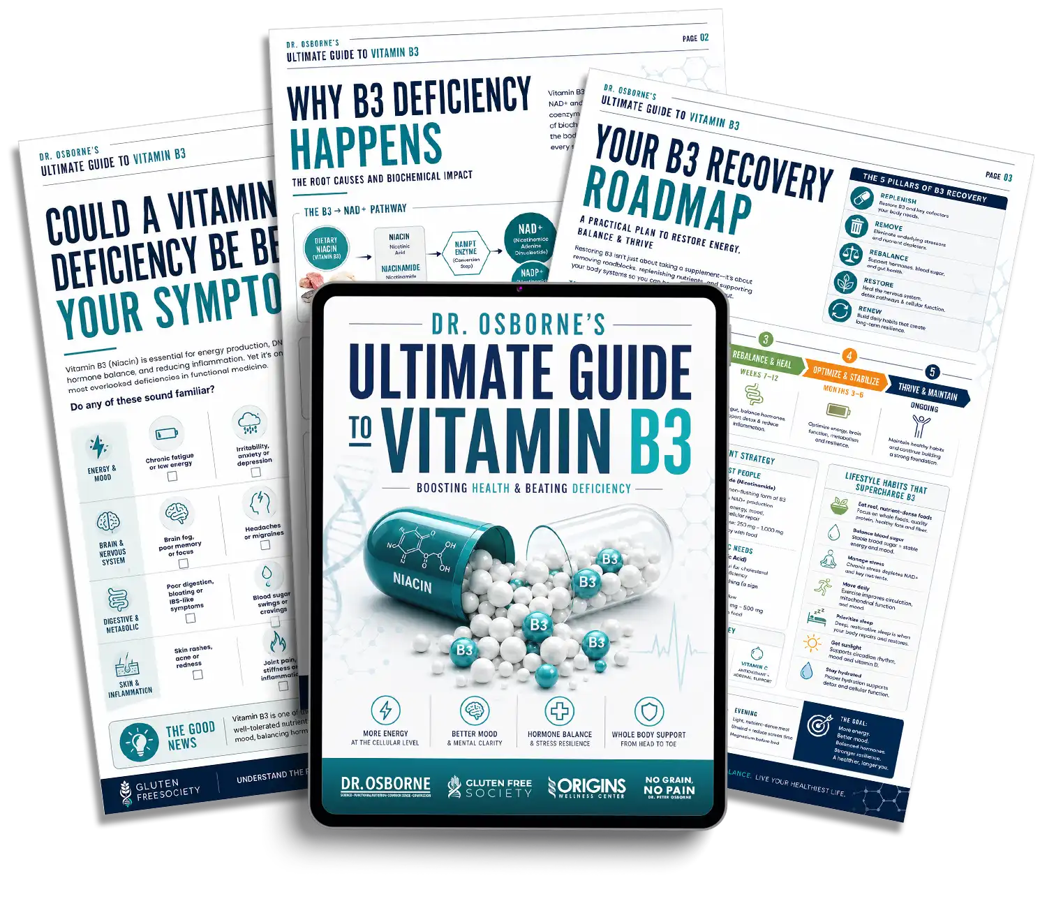 free vitamin b3 ultimate guide - Gluten Free Society