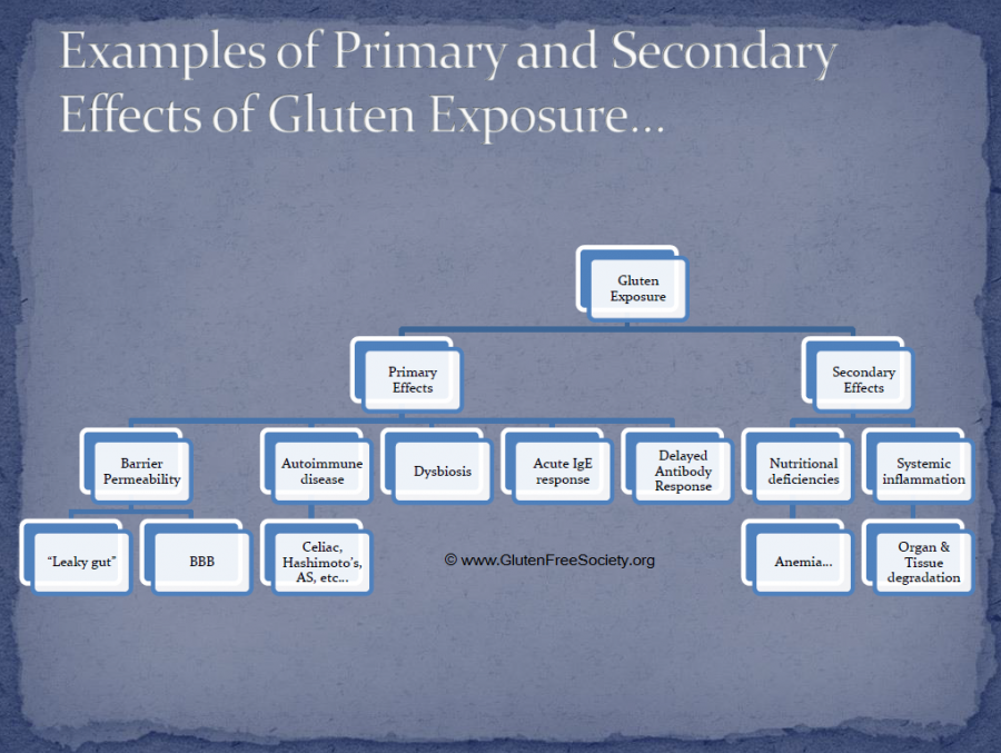 New Mechanism Found in Gluten Sensitivity Gluten Free Society