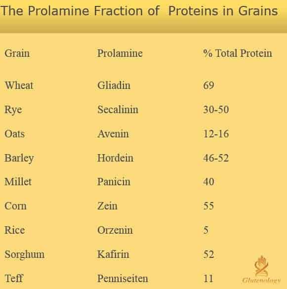 what grains are gluten free