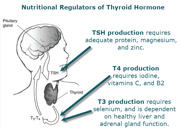 can diet affect thyroid