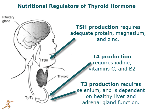 Thyroid Nation - Gluten