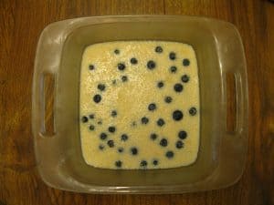 Ultra Protein Blueberry Jello