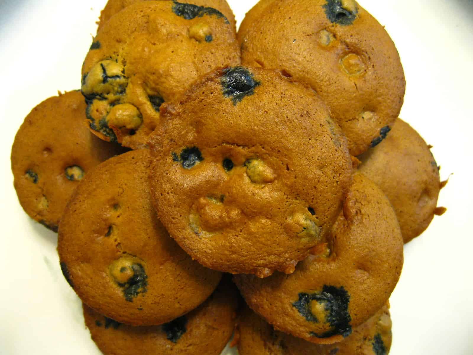 Ultra Protein Blueberry Muffins