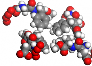 Max Digest reduces gluten damage