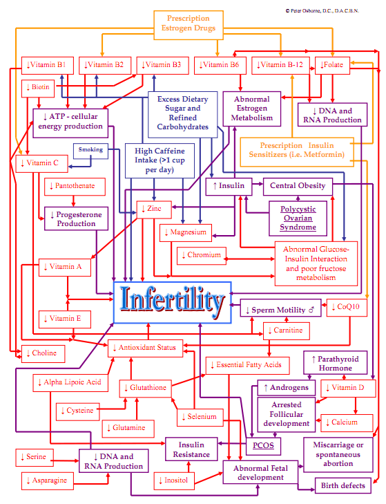 infertility diagram Nutritional causes of infertility